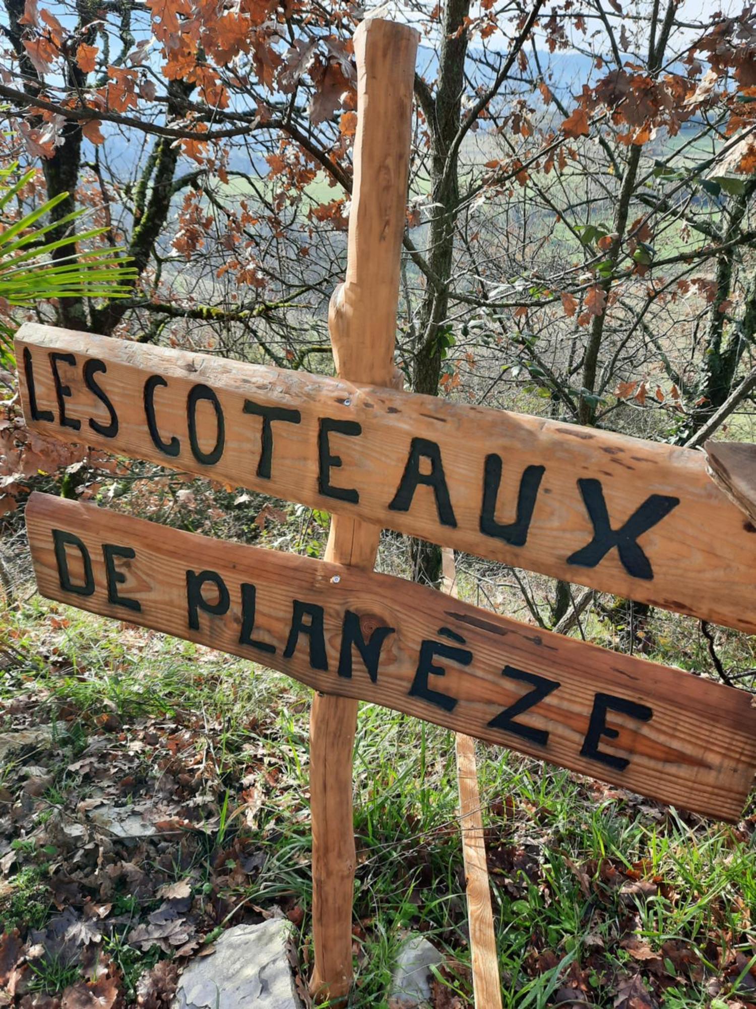 Les Coteaux De Planeze, Chambre Pour 2, 3 Ou Famille Nombreuse 2 Adultes 5 Enfants Et Jeunes Belmont-Bretenoux المظهر الخارجي الصورة